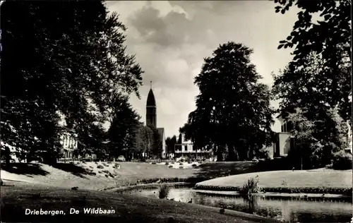 Ak Driebergen Utrecht Niederlande, De Wildbaan