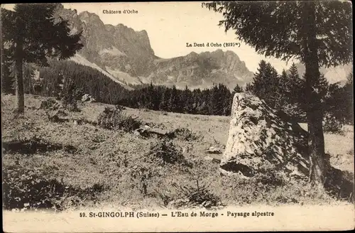 Ak Saint Gingolph Kanton Wallis Schweiz, L'Eau de Morge, Paysage alpestre