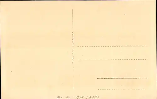 Ak Plötzkau in Sachsen Anhalt, Gesamtansicht, Kirche, Schloss, Schule