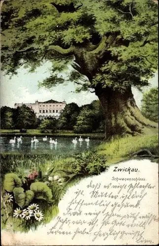 Ak Zwickau in Sachsen, Schwanenschloss