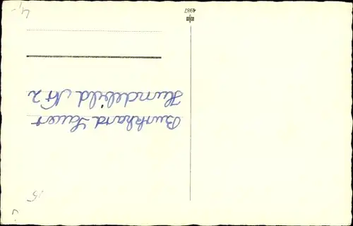 Ak Vereint in Lieb' und Treu' Hundeportrait, zwei Terrier