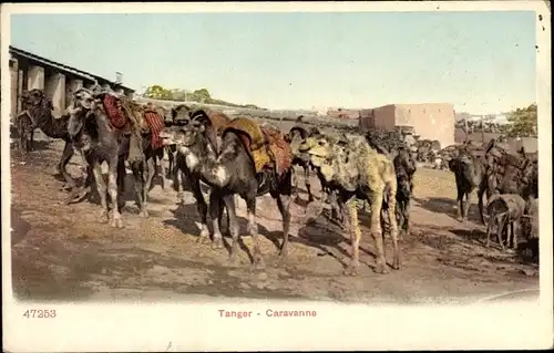 Ak Tanger Marokko, Caravanne