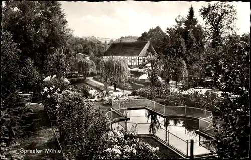 Ak Ennepetal Milspe, Café Restaurant Spreeler Mühle Parkanlage, Teich