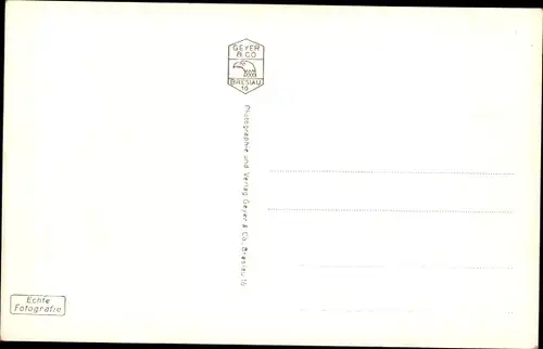 Ak Swetlogorsk Rauschen Ostpreußen, Ostseebad, Steilküste