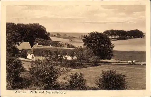 Ak Århus Aarhus Dänemark, Parti ved Marselisborg