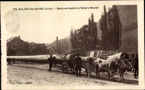 Ak Salins les Bains Jura, Sapin aarivant a la Scierie Bouvet