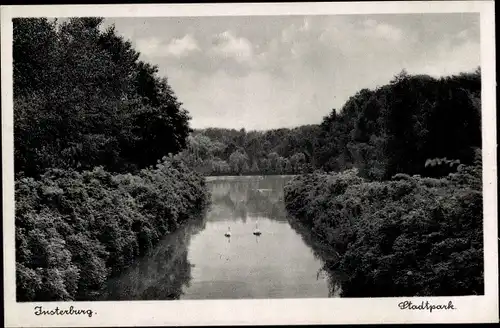 Ak Tschernjachowsk Insterburg Ostpreußen, Stadtpark