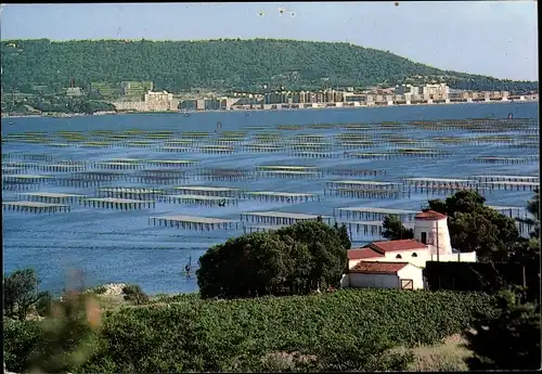 Ak Sète Cette Hérault, Bassin de Thau, Les parcs a huitres