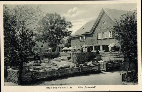 Ak Colditz in Sachsen, Villa Spreetal