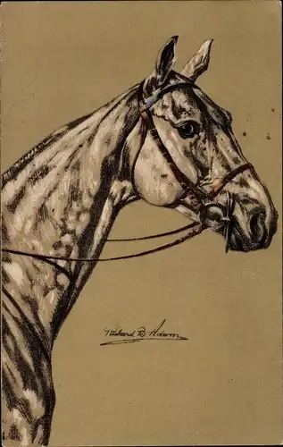 Künstler Ak Adam, Richard B., Pferd