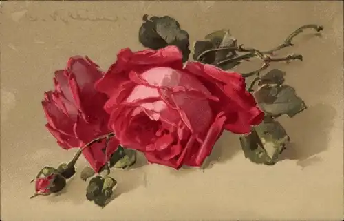 Künstler Ak Klein, Catharina, rote Rosen