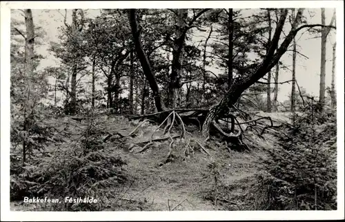 Ak Bakkeveen Friesland Niederlande, Festhalde