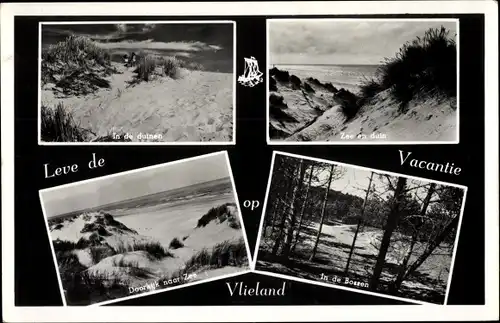 Ak Vlieland Friesland Niederlande, In de duinen, Zee en duin, Doorkijk naar Zee, In de Bossen