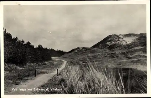 Ak Vlieland Friesland Niederlande, Pad langs het Bokkendal