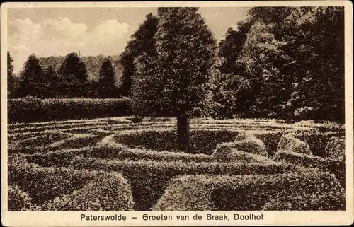 Ak Paterswolde Drenthe Niederlande, Groten van de Braak, Doolhof