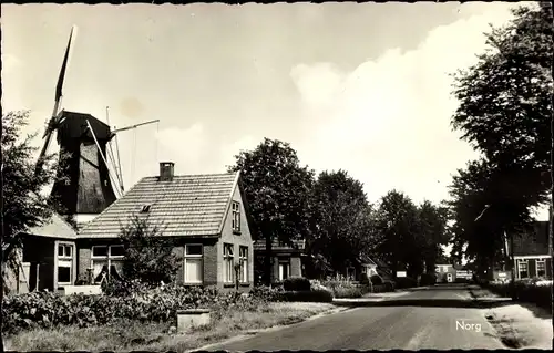 Ak Norg Drenthe, Straßenansicht, Mühle