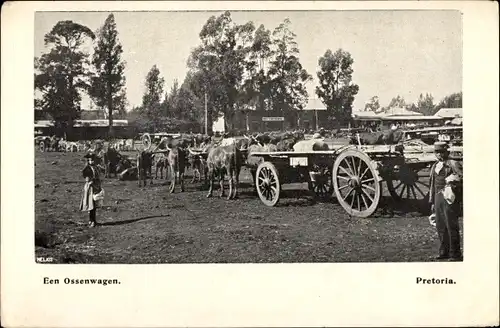 Ak Pretoria Südafrika, Een Ossenwagen