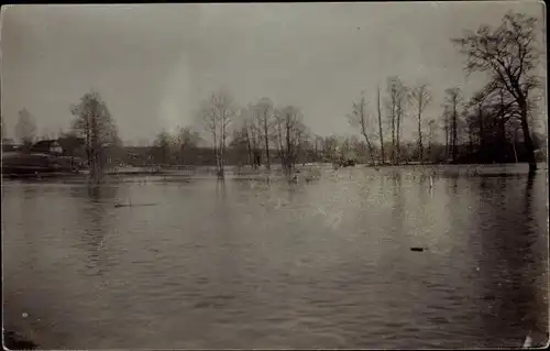 Foto Ak Russland, überschwemmter Ort, Bäume