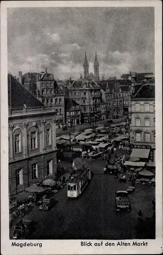 Ak Magdeburg, Blick auf den Alten Markt, Tram