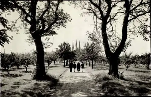 Ak Tilburg Nordbrabant Niederlande, Cistercienser Abdij, O.L. Vr. v. Koningshoeven, Kloostertuin