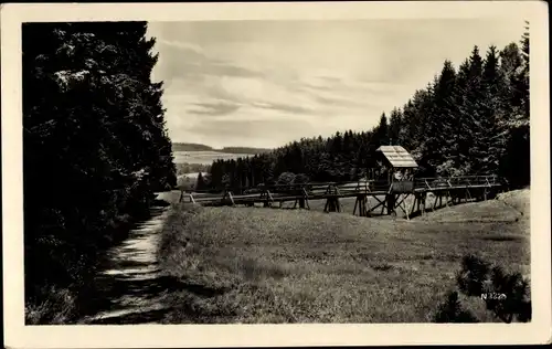 Ak Bad Brambach im Vogtland, Röthenbachtal