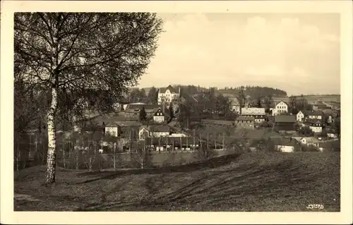 Ak Pöhl Vogtland, Gasthaus zum Triebtal, Panorama