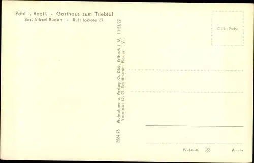 Ak Pöhl Vogtland, Gasthaus zum Triebtal, Panorama