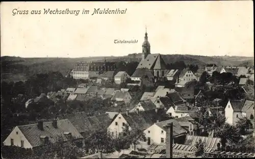 Ak Wechselburg Landkreis Mittelsachsen, Totalansicht