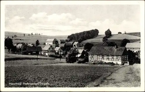 Ak Helbigsdorf Mulda im Erzgebirge, Teilansicht vom Ort, Fachwerkhäuser, Felder