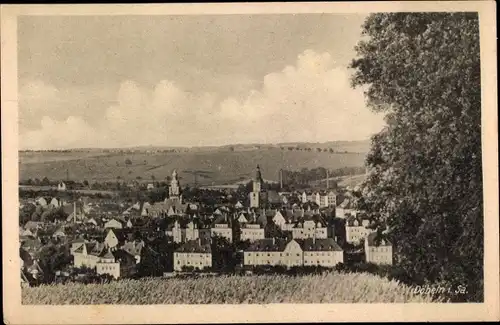 Ak Döbeln in Sachsen, Panorama