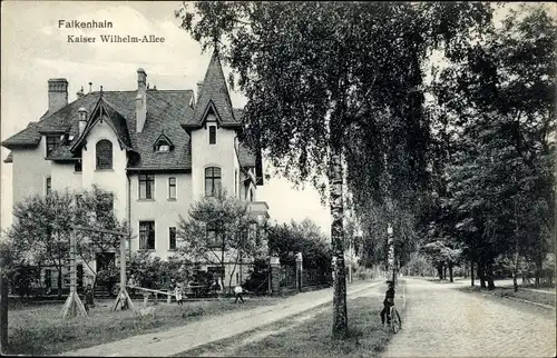 Ak Falkenhain Lossatal in Sachsen, Haus in der Kaiser Wilhelm Allee, Spielplatz, Wippe