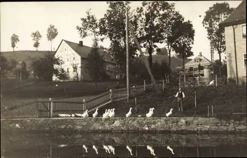 Foto Ak Dorfhain in Sachsen, Ortsansicht, Gänse, Bauer