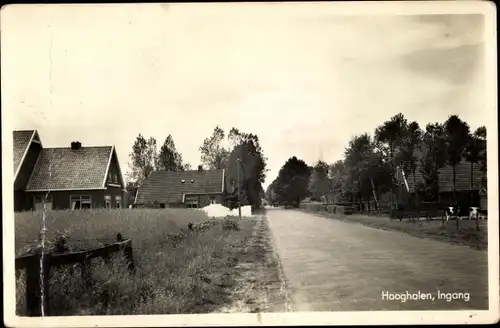 Ak Hooghalen Drenthe Niederlande, Ingang