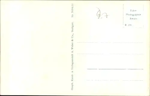 Ak Buchholz Waldkirch im Breisgau, Panorama