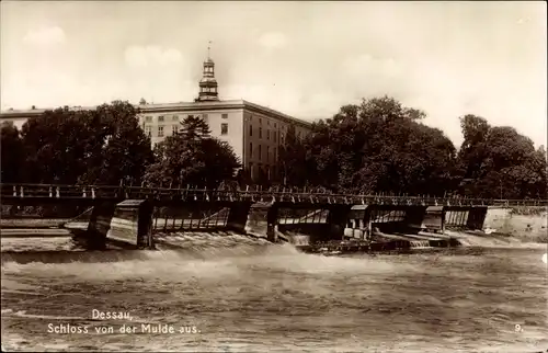 Ak Dessau in Sachsen Anhalt, Herzogl. Schloss von der Mulde aus gesehen, Wehr