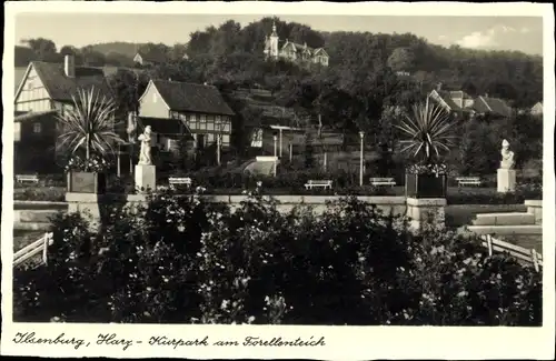 Ak Ilsenburg am Nordharz, Kurpark am Forellenteich