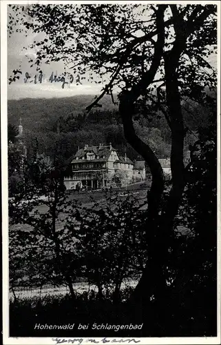 Ak Schlangenbad im Taunus Hessen, Hotel Pension Hohenwald