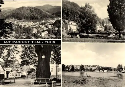 Ak Thal Ruhla in Thüringen, Blick vom alten Keller, Anlagen, 600-jährige Linde, Schwimmbad