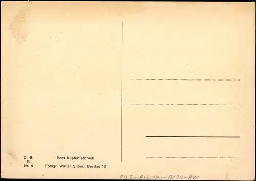 Ak Elbląg Elbing Westpreußen, Teilansicht