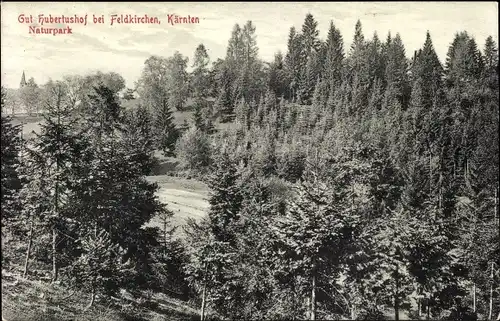 Ak Feldkirchen Kärnten, Gut Hubertushof, Naturpark