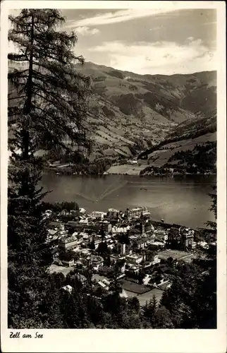 Ak Zell am See in Salzburg, Gesamtansicht