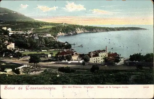 Ak Konstantinopel Istanbul Türkei, Iles des Princes Prinkipo