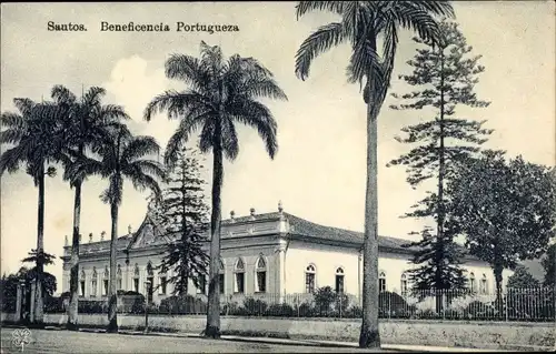 Ak Santos Brasilien, Beneficencia Portugueza, Straßenpartie, Palmen