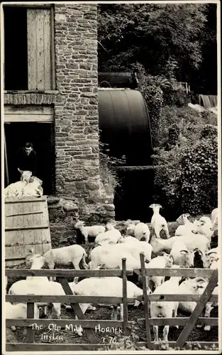 Ak Ziegen, Alte Wassermühle