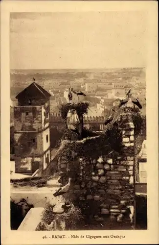 Ak Rabat Marokko, Nids de Cigognes aux Oudayas