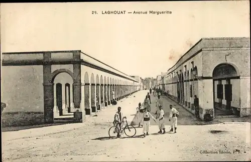 Ak Laghouat Algerien, Avenue Margueritte, Fahrrad