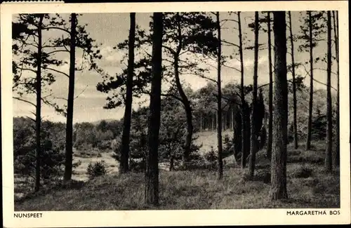 Ak Nunspeet Gelderland, Margaretha Bos