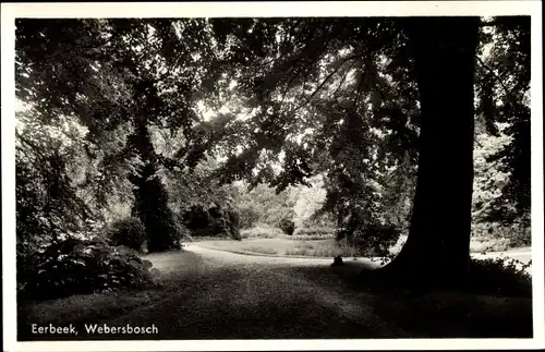 Ak Eerbeek Brummen Gelderland Niederlande, Webersbosch