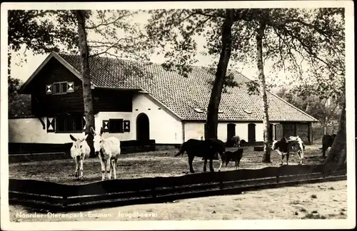 Ak Emmen Drenthe Niederlande, Noorder Dierenpark, Jeugdhoeve