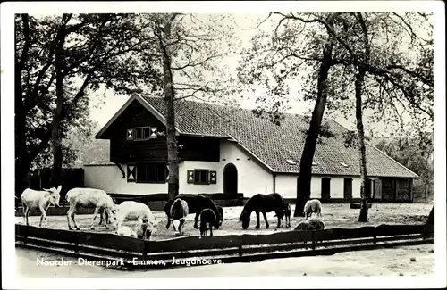 Ak Emmen Drenthe Niederlande, Noorder Dierenpark, Jeugdhoeve